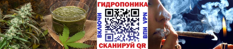 Купить закладки  Ардон  Cannafood конопля 