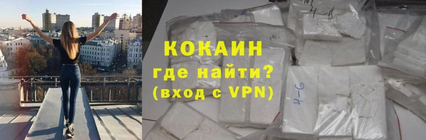 крисы Мегион