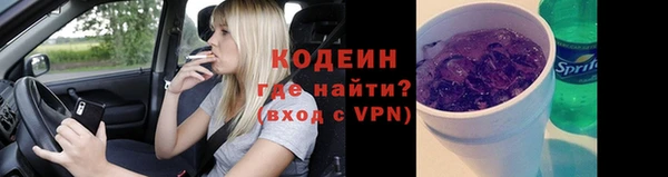 крисы Мегион