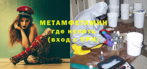 крисы Мегион