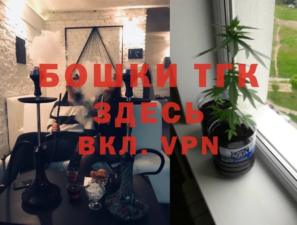 крисы Мегион