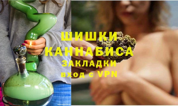 крисы Мегион