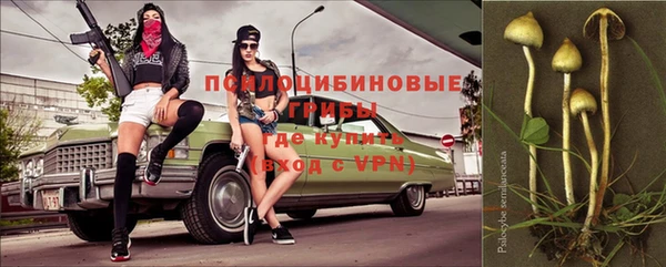 прущая мука Медвежьегорск