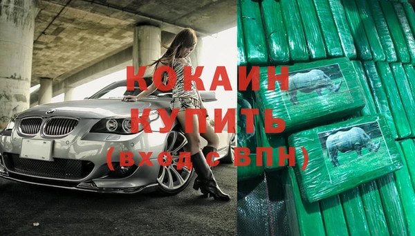 крисы Мегион