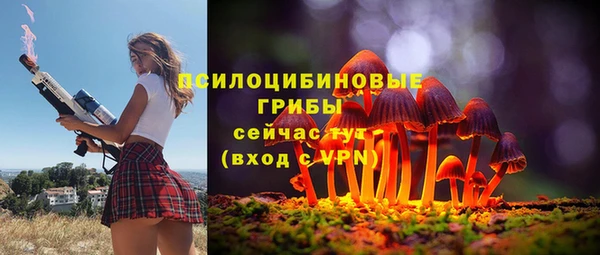 прущая мука Медвежьегорск