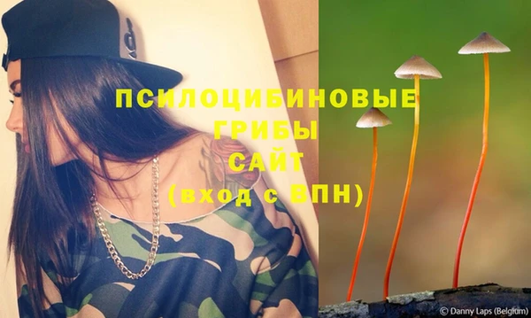 крисы Мегион
