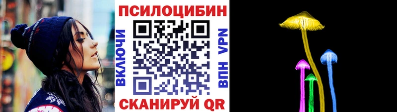 Псилоцибиновые грибы GOLDEN TEACHER  Купить где  Ардон 